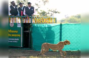 mp-cm-20-9-26-3210820
